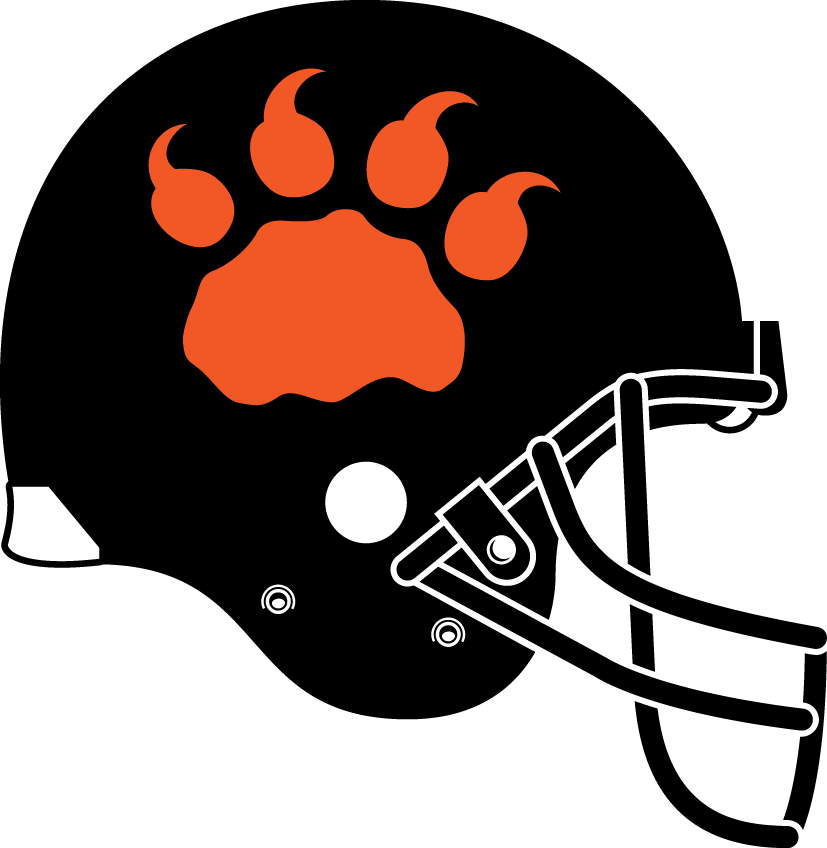 bc lions 2013-pres helmet logo iron on transfers for T-shirts
